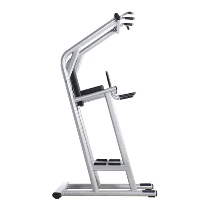 Leg raise exercise knee up dip fitness rack