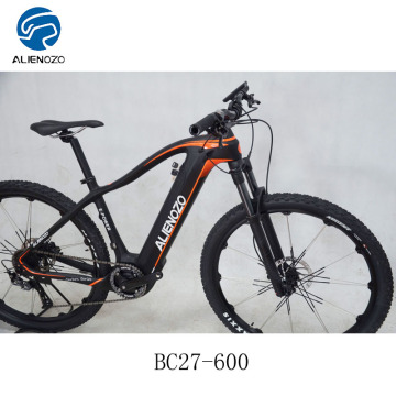 Professioneller Kohlefaser -MTB mit DC Motor Center Drive 36V Elektrofahrrad