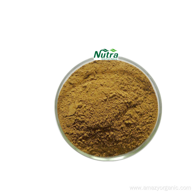Organic Herba Lophatheri Extract powder