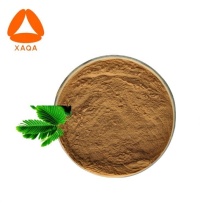 Natural Herb Powder Mimosa Pudica Root Extract Powder