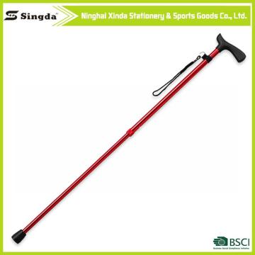 most popular products nordic walking cane
