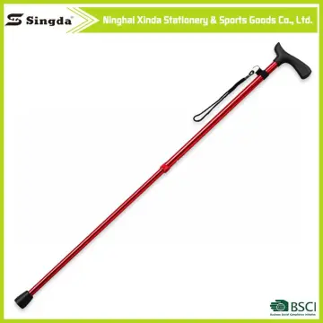 most popular products nordic walking cane