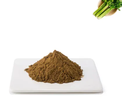 100% Pure Natrual Ajuga Turkestanica Capsules Ajuga