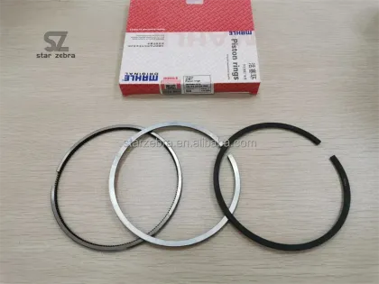 Shanghai MAHLE Piston Rings for 6CT8.3 6D107 6D102 Engines