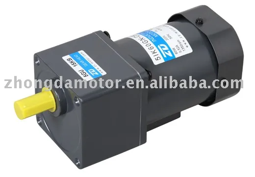 12/24V AC/DC gear motor