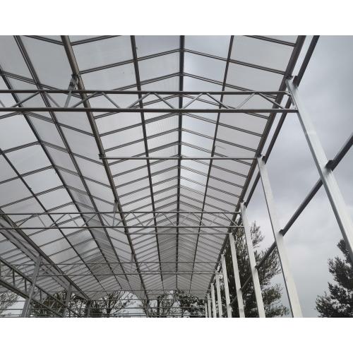 Custom 16mm Polycarbonate Panel Greenhouse