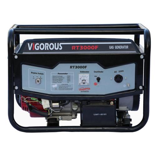 3000 Puncak Watt Generator Gas Tenaga Hijau