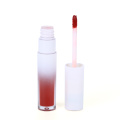 Long-lasting lipstick Top Quality lady Cosmetic