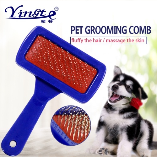 Escova de animais de estimação Brush de grooming cão de estimação
