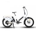 Bicicleta eléctrica Bicicleta de carga de 2 ruedas E Bike 48V 500W Batería dual Classic Pedal Assisting Familia Long Tail Long Electric Cargo Bike