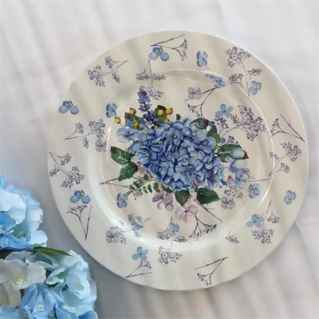 Ceramic Serving Plate 10.5 Inch - Customized Design for Daily Use and Parties