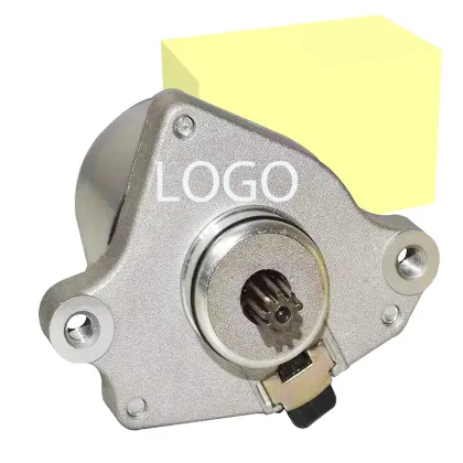 High Quality Factory PEP Scooter Motors: PEP Plus, Streak, Zest, and Electric Self-Starter Motor Assay