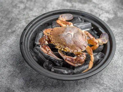 Frozen Sand Crab Seafood