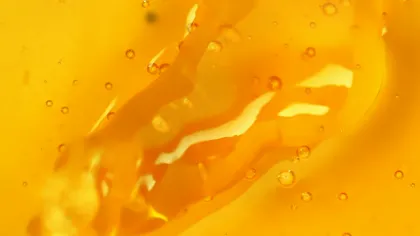 sweet pure golden honey discount price