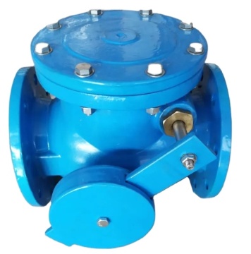 HN77-16 PN16 Ductile Iron Swing Check Valve with Lever" 

(Note: The term "Count Weight" does not seem to directly relate to the description of the valve, so it was not included in the title.)