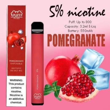 Disposable vape Puff plus 800 Cool Mint flavor