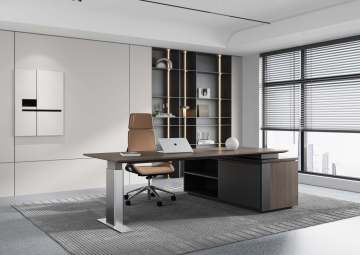 Dual Motor Adjustable Standing Desk Electric Office Chair