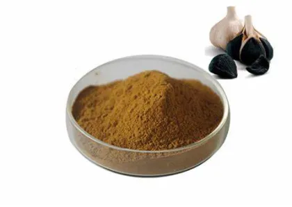 Pure Black Garlic Extract with Allicin