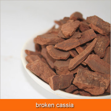 broken cassia