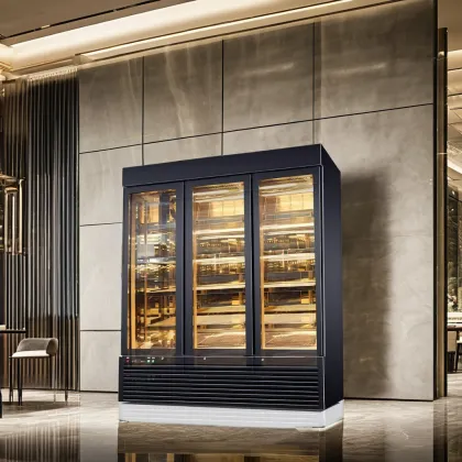 Stainless Steel Beef or Steak Dry Ager Refrigerator