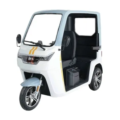 EEC Certificate Electric Tricycle Adult Cargo Passenger Three Wheels electric tuk tuk