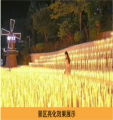 Lumières de blé de simulation en plein air