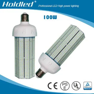 480V LED Garden Lights 100w SMD 2835
