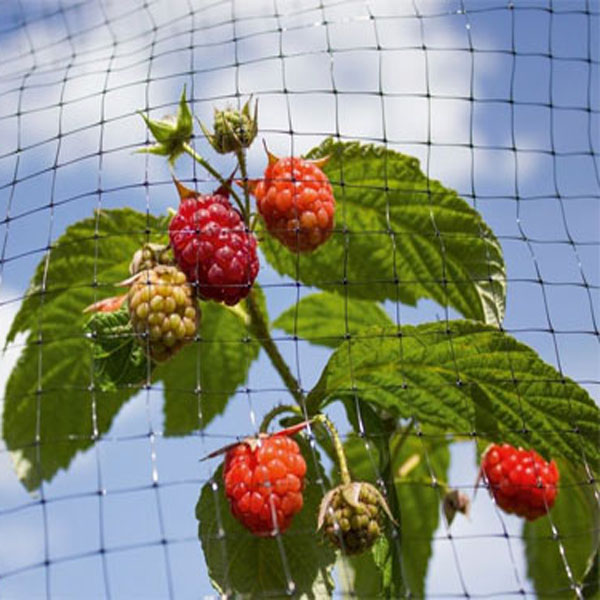 Plastic Crop Net