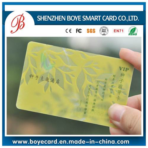 Transparent Effect with Magnetic Stripe Card/Lo-Co