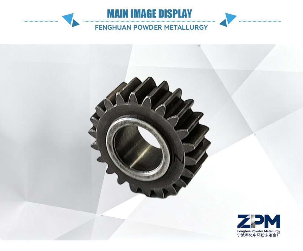 Spur Gear-x