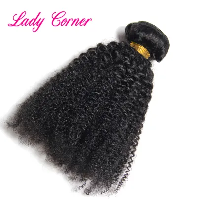 Wholesale price unprocessed virgin southeast asian raw hair