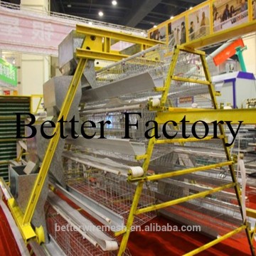 New design Hot-sale professional automatic poultry feeding machine