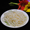 Hochwertige japanische udon-Nudeln im japanischen Stil