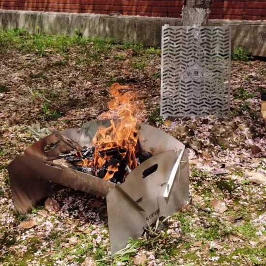 Stainless Steel BBQ Grill, 2 in 1 Fire Pit and Charcoal Grill