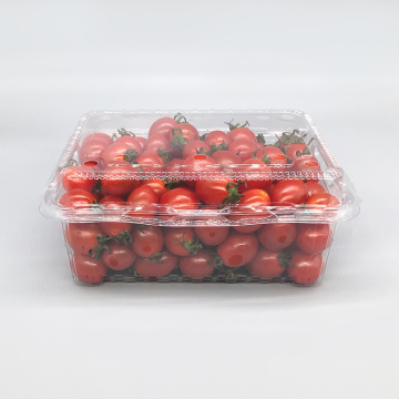 Customized Size Recyclable PET Plastic Strawberry Punnet