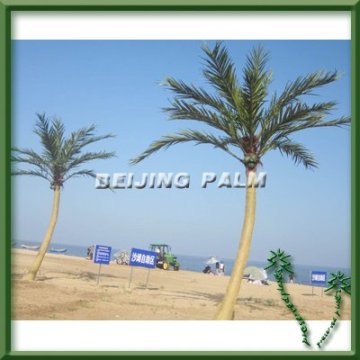 6m artificial Coconut Palm Tree