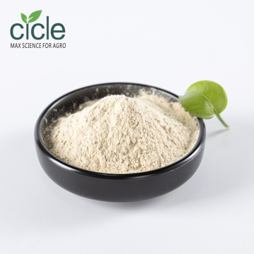 Alginate Oligosaccharide AOS Powder