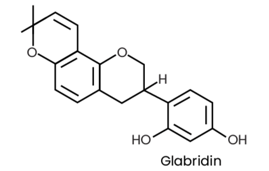 Glabridin Extract Powder