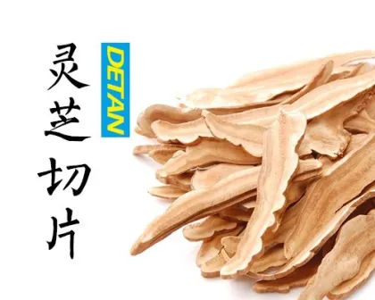 Dried Sliced Ganoderma Lucidum/Reishi Mushroom