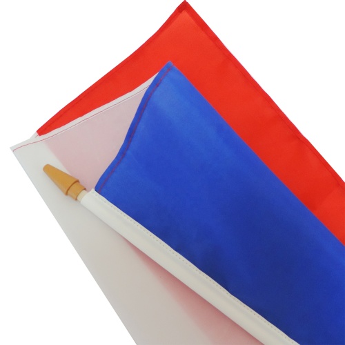 Best selling national French custom hand held flags