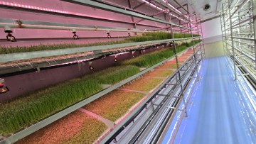 Common hydroponic forage type YD40JPM-B01-TK