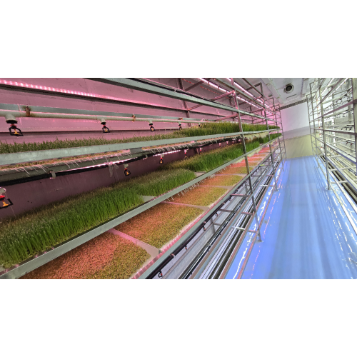 Обычный гидропонный корм типа YD40JPM-B01-TK