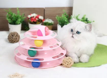 Cat ball tracks toy pet toy interactive toys