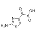 2- (2-Aminothiazol-4-yl) glyoxylsäure CAS 73150-67-1