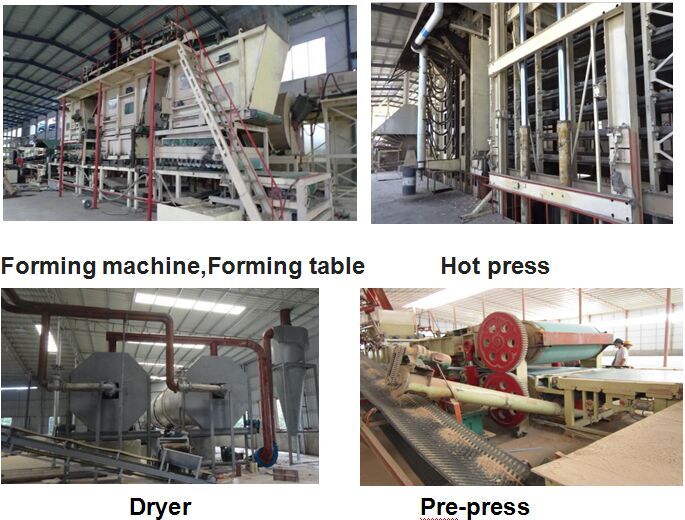 OSB (Oriented Strand Board) Production Line, OSB Making Machine Line, OSB Equipment