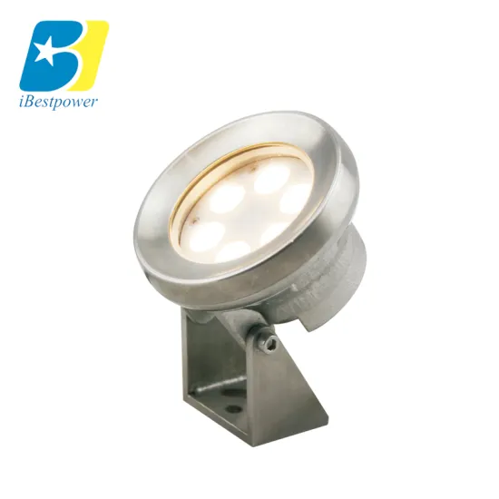 IP68 Submersible RGB LED Underwater Pool Light (3W-21W)