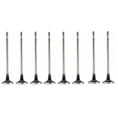 55557741 Потребление клапана