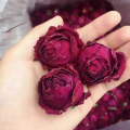 Rosa da Glória Carmesim