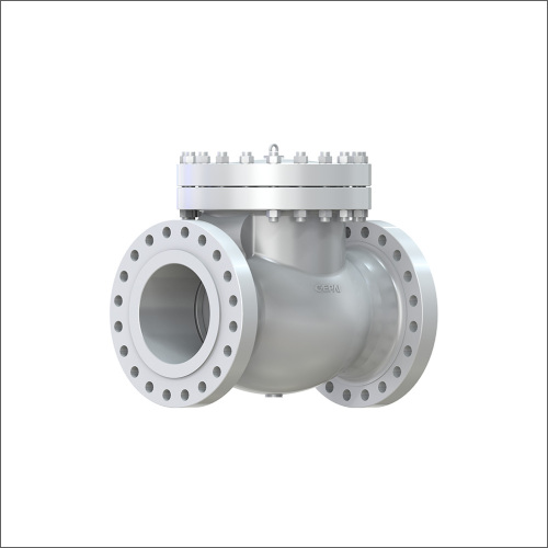 Casting Swing Check Valve