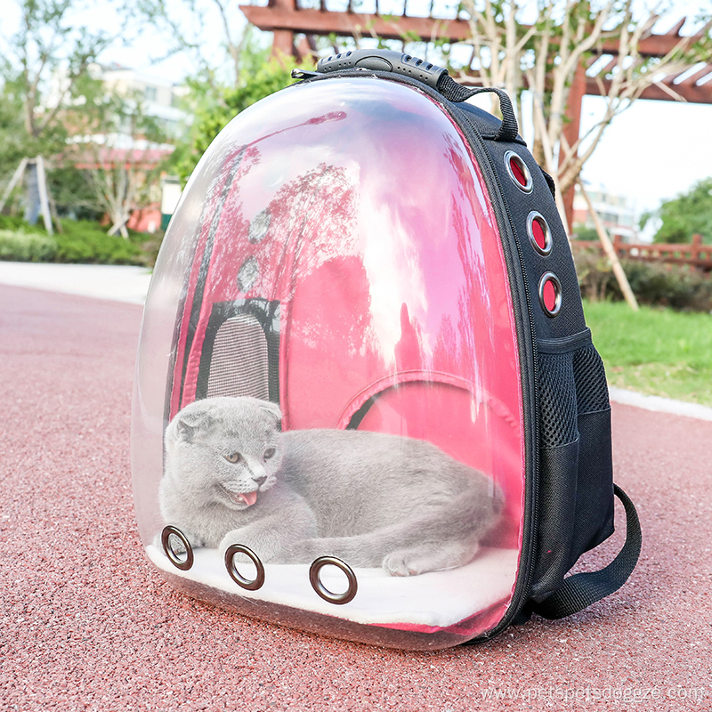 New Design Pet Products Cat Carrier Backpack Outdoor